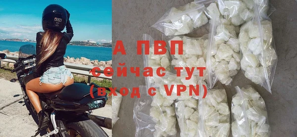 мдпв Пересвет