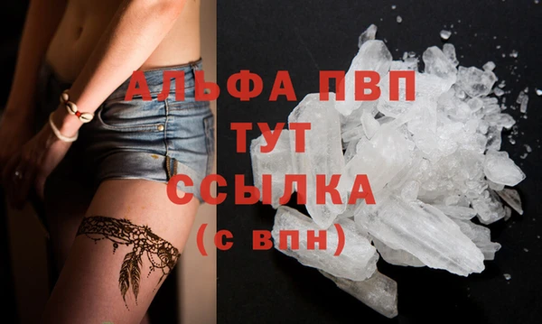 spice Осташков