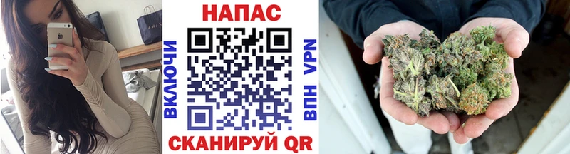 Конопля план  Богородск 